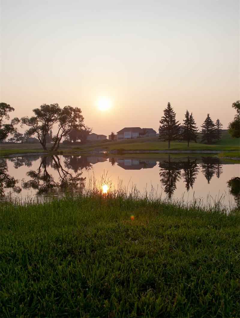 Website_Card_Photos_(11)