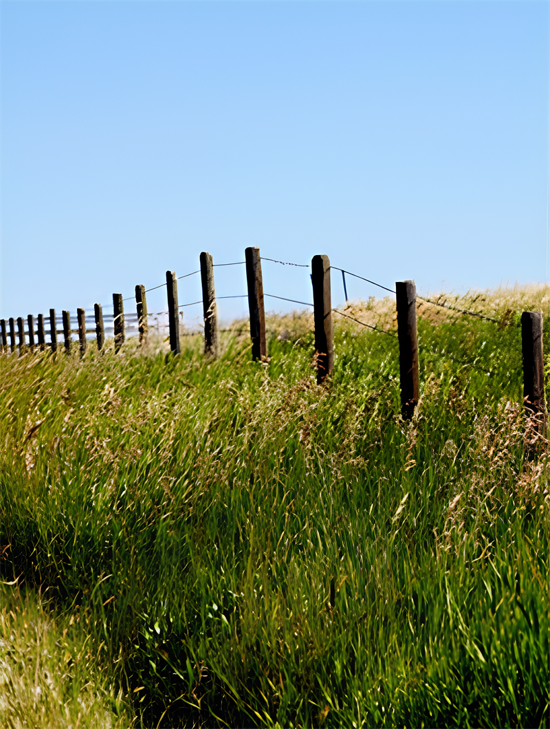 Website_Card_Photos_(6)