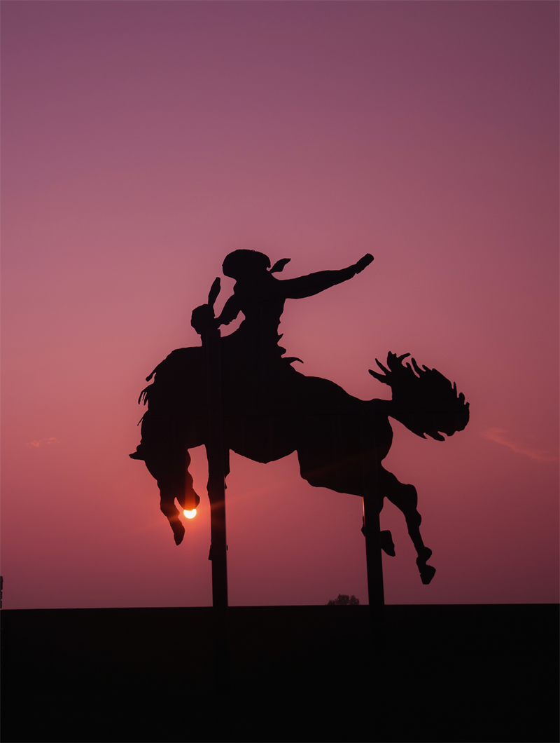 Website_Card_Photos_(9)