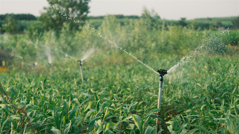 Water spouts spraying water on a field
