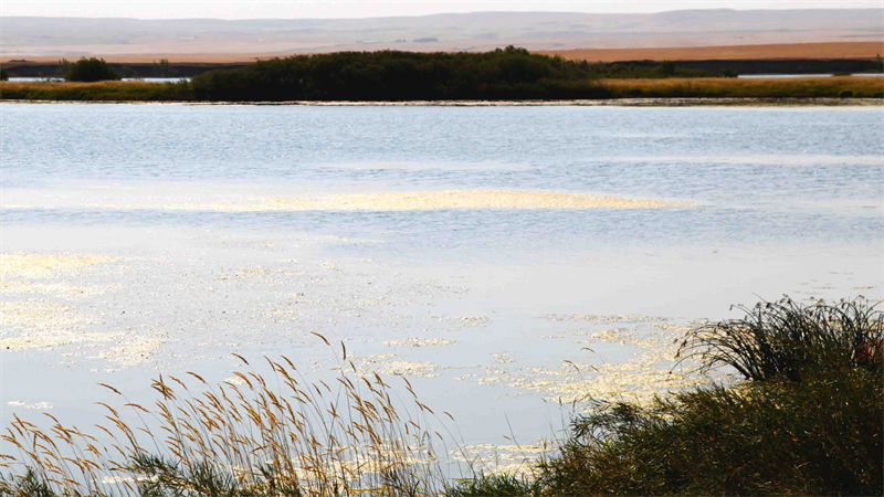 Water reservoir