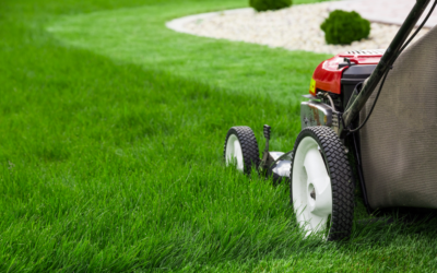 Bylaw 1034-17 and Lawn Care