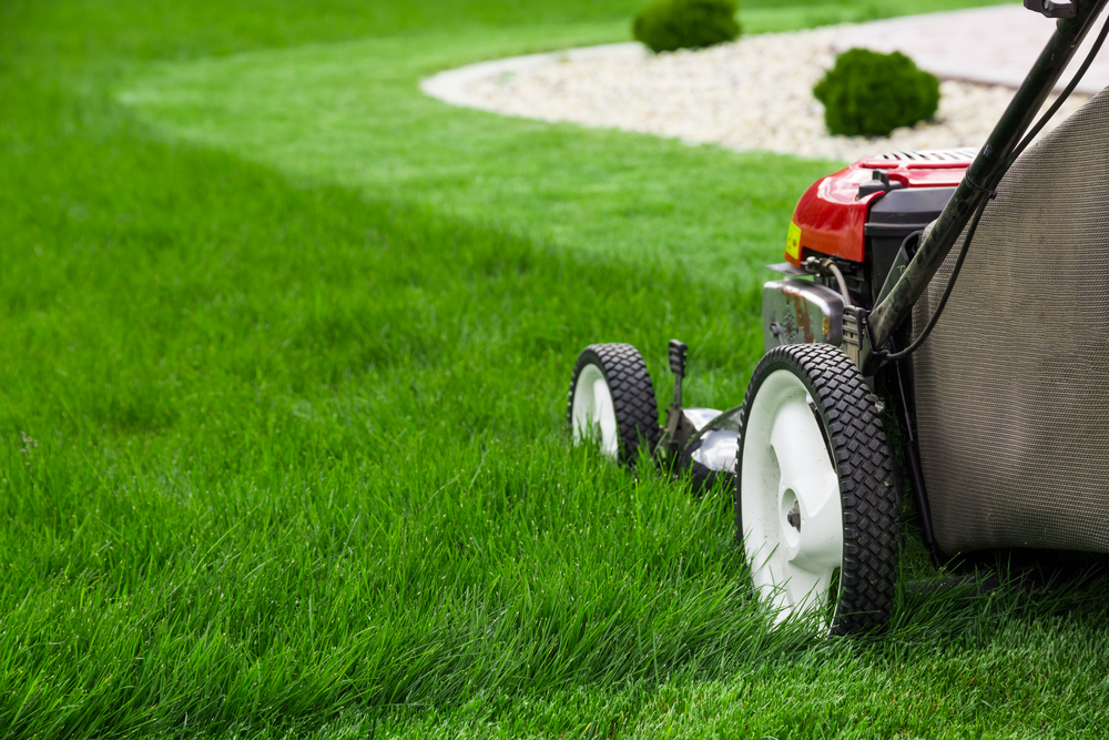 Bylaw 1034-17 and Lawn Care