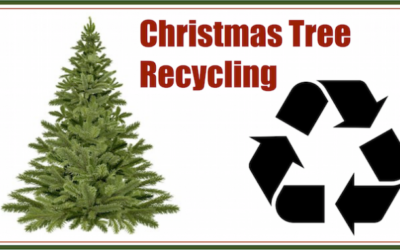 Christmas Tree Recycling