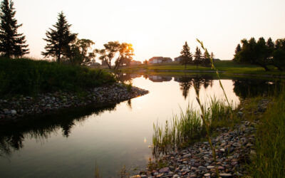 Help Shape Raymond’s Community Standards