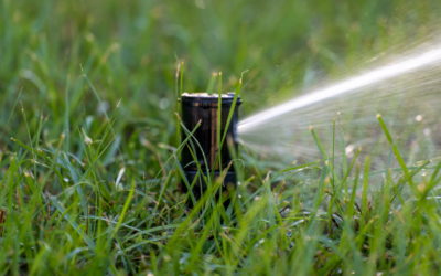 Residential Irrigation Water Will Be Turned On May 4